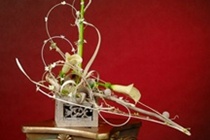 Ikebana (fot. 2)