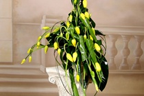 Ikebana (fot. 16)