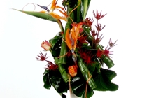 Ikebana (fot. 22)
