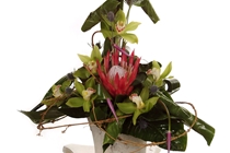 Ikebana (fot. 27)